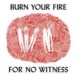 Burn Your Fire For No Witness 150